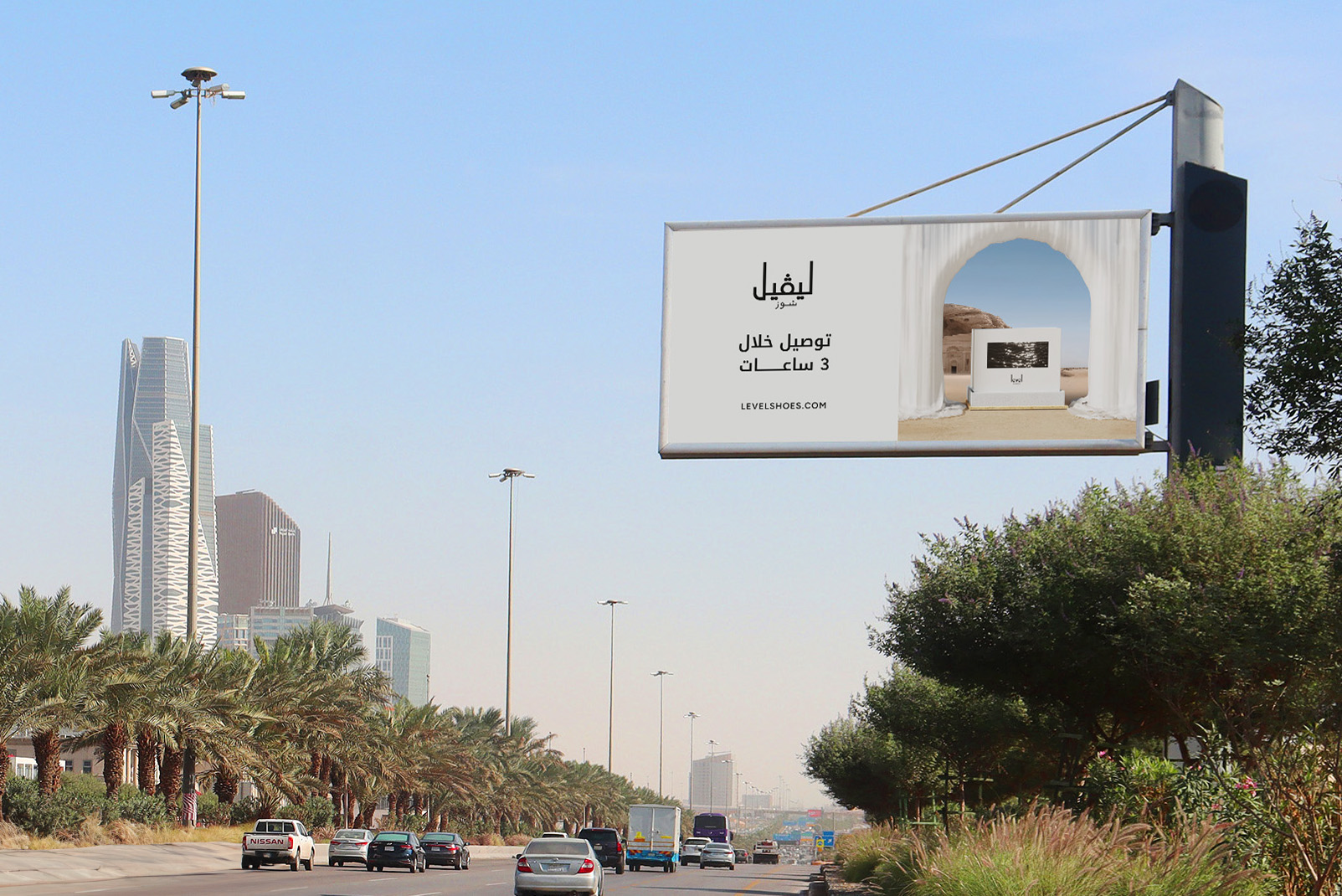Level Shoes — Delivering Wherever You Are